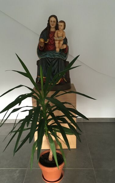 Klicken für Bild in voller Größe