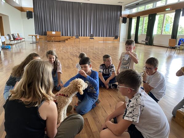 Klicken für Bild in voller Größe