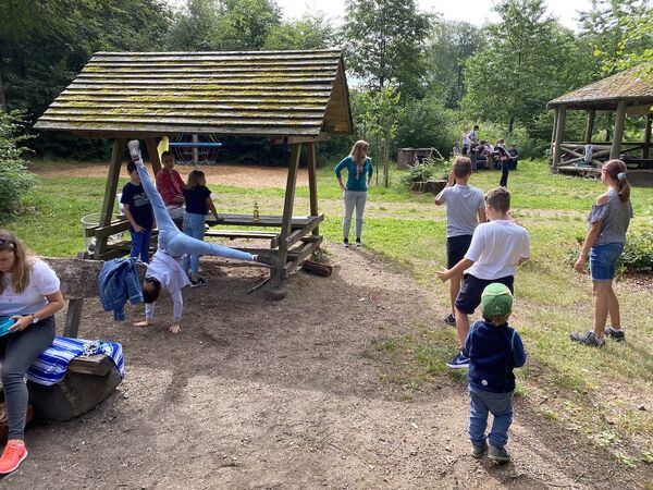 Klicken für Bild in voller Größe