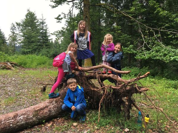 Klicken für Bild in voller Größe